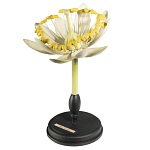 Статуэтка Tilia варинант исполнения - 3 | Loft Concept в Челябинске