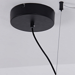 Люстра подвесная светодиодная черный металл Ring Horizontal варинант исполнения - 13 | Loft Concept в Челябинске