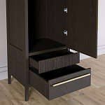 Узкий Шкаф Primo с 2 выдвижными ящиками Темный орех варинант исполнения - 5 | Loft Concept в Челябинске