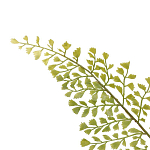 Декоративный искусственное растение Dried flower варинант исполнения - 3 | Loft Concept в Челябинске