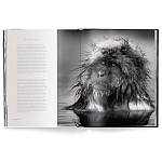 Книга Beusker. Look into my Eyes варинант исполнения - 3 | Loft Concept в Челябинске