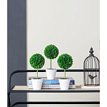 Декоративный искусственное растение Boxwood One варинант исполнения - 9 | Loft Concept в Челябинске