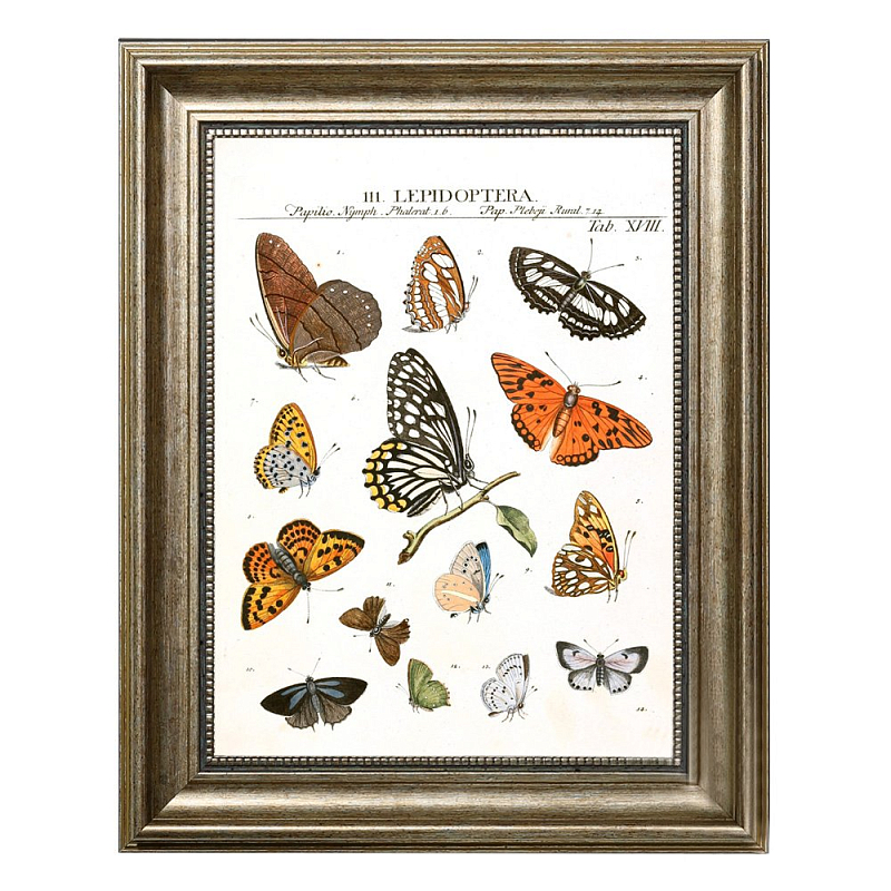 Постер Little Butterflies Постер Little Butterflies в Челябинске | Loft Concept