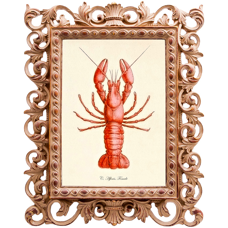 Постер Red Lobster Бежевый Красный Постер Red Lobster Бежевый Красный в Челябинске | Loft Concept