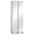 Двухдверный шкаф с зеркальными дверцами Strict Lines варинант исполнения - 5 | Loft Concept в Челябинске