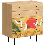 Комод с принтом на ящиках Elise Chest of Drawers варинант исполнения - 4 | Loft Concept в Челябинске