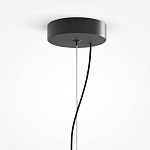 Подвесной светильник Rare grapes варинант исполнения - 4 | Loft Concept в Челябинске