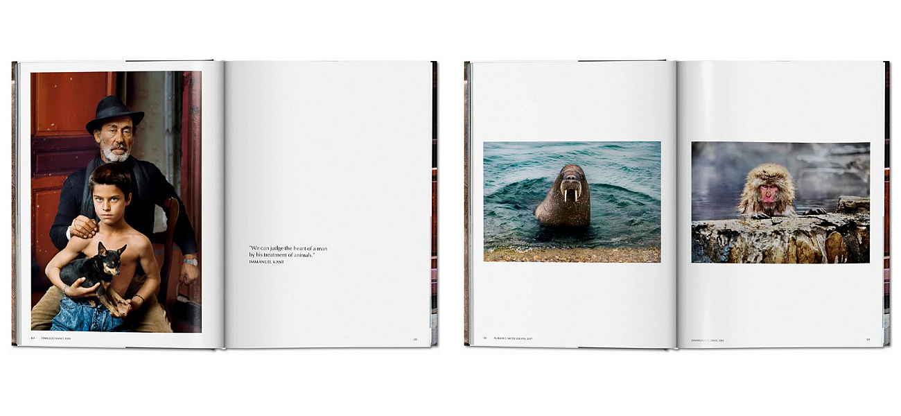 Steve McCurry. Animals Steve McCurry. Animals - Loft-Concept в Челябинске