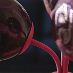 Настольная лампа Wild Grape pink варинант исполнения - 10 | Loft Concept в Челябинске