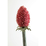 Статуэтка тропический фрукт Pandora Tropical Fruit Orange Red Round варинант исполнения - 3 | Loft Concept в Челябинске