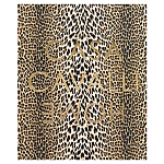 Редкое коллекционное издание Casa Cavalli Home: Celebrating the Roberto Cavalli Lifestyle Леопард варинант исполнения - 1 | Loft Concept в Челябинске