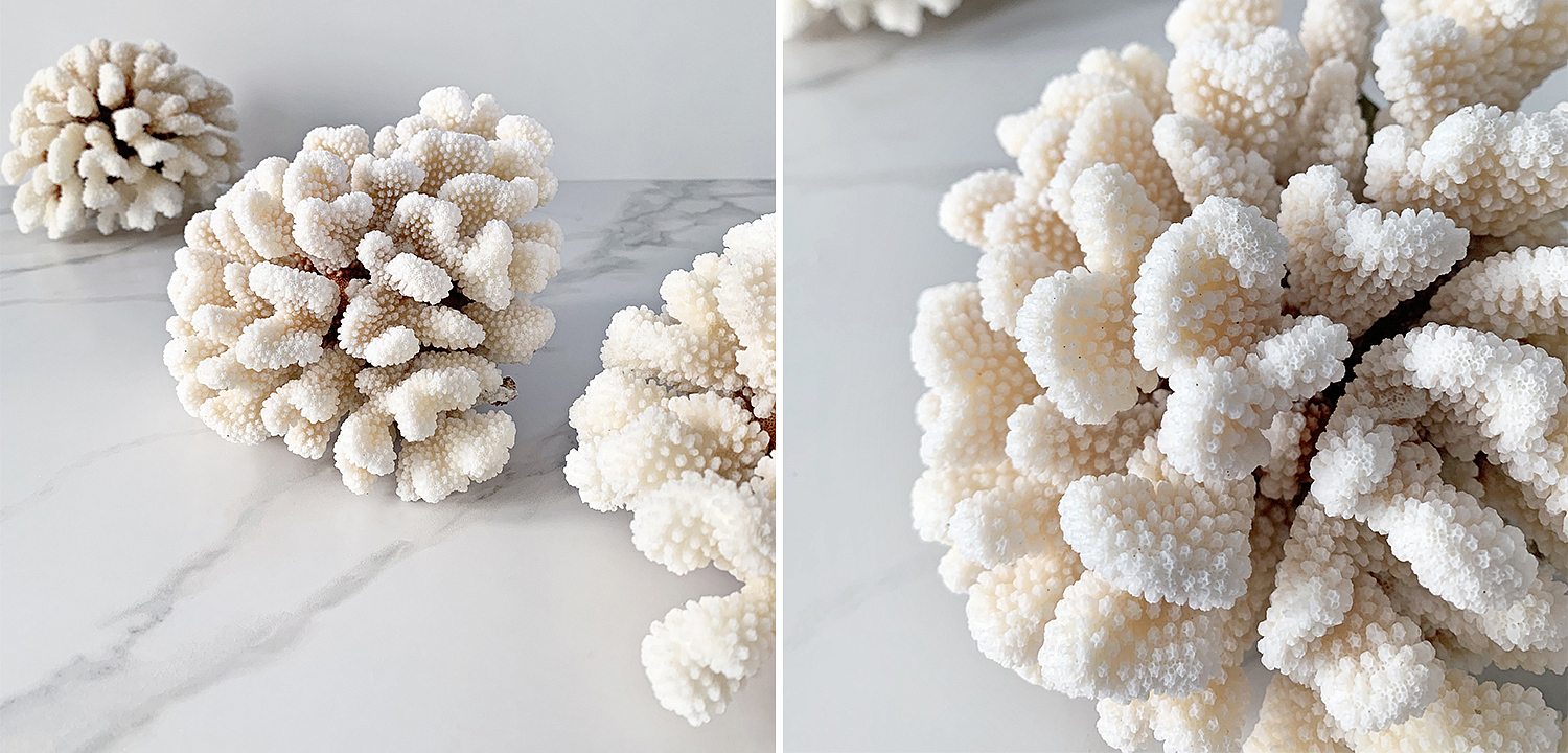 Статуэтка Brownstem Coral Статуэтка Brownstem Coral - Loft-Concept в Челябинске