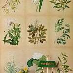 Обои ручная роспись Botanical Studies Linnaeus colourway варинант исполнения - 3 | Loft Concept в Челябинске