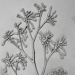 Панно Лесной цветок варинант исполнения - 4 | Loft Concept в Челябинске