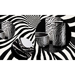 Редкое коллекционное издание Casa Cavalli Home: Celebrating the Roberto Cavalli Lifestyle Зебра варинант исполнения - 4 | Loft Concept в Челябинске