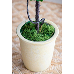 Декоративный искусственное растение Single boxwood варинант исполнения - 6 | Loft Concept в Челябинске