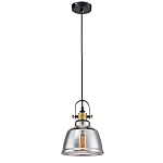 Подвесной светильник Moss варинант исполнения - 3 | Loft Concept в Челябинске