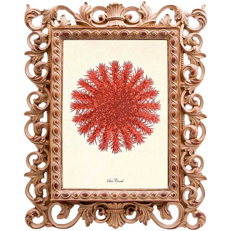 Постер Red Sea Urchin Бежевый Красный в Челябинске | Loft Concept 
