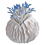 Статуэтка тропический фрукт Tropical Fruit White Blue варинант исполнения - 2 | Loft Concept в Челябинске