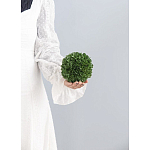 Декоративный искусственное растение Small boxwood варинант исполнения - 3 | Loft Concept в Челябинске