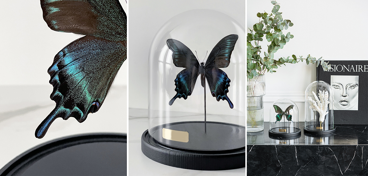 Статуэтка Butterfly Sailboat Maaka Glass Cloche Статуэтка Butterfly Sailboat Maaka Glass Cloche - Loft-Concept в Челябинске
