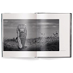 Книга Beusker. Look into my Eyes варинант исполнения - 1 | Loft Concept в Челябинске