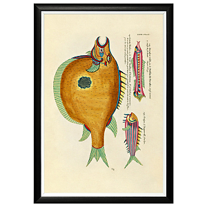 Постер в черной раме Fish Guide 19