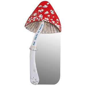 Зеркало The Truth Is Inside