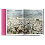 Книга Gisele Bundchen варинант исполнения - 9 | Loft Concept в Челябинске