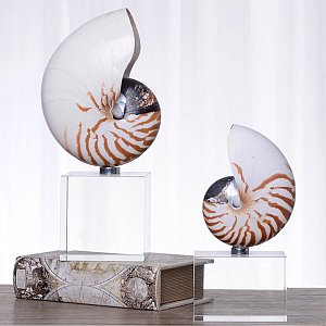 Декоративная статуэтка Shell