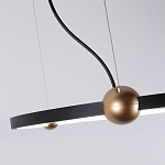 Люстра подвесная светодиодная черный металл Ring Horizontal варинант исполнения - 4 | Loft Concept в Челябинске