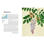 Прекрасно иллюстрированная книга более 100 ботанических произведений Plant Hunters Atlas варинант исполнения - 4 | Loft Concept в Челябинске