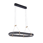 Люстра светодиодная в форме овала из акрила и алюминия с пультом для регулировки света Ring Horizontal Anthracite варинант исполнения - 2 | Loft Concept в Челябинске