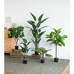 Декоративный искусственное растение Decor Stile  варинант исполнения - 8 | Loft Concept в Челябинске