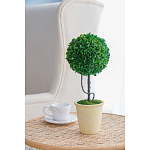 Декоративный искусственное растение Single boxwood варинант исполнения - 5 | Loft Concept в Челябинске