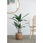 Декоративный искусственное растение Decor Stile  варинант исполнения - 5 | Loft Concept в Челябинске