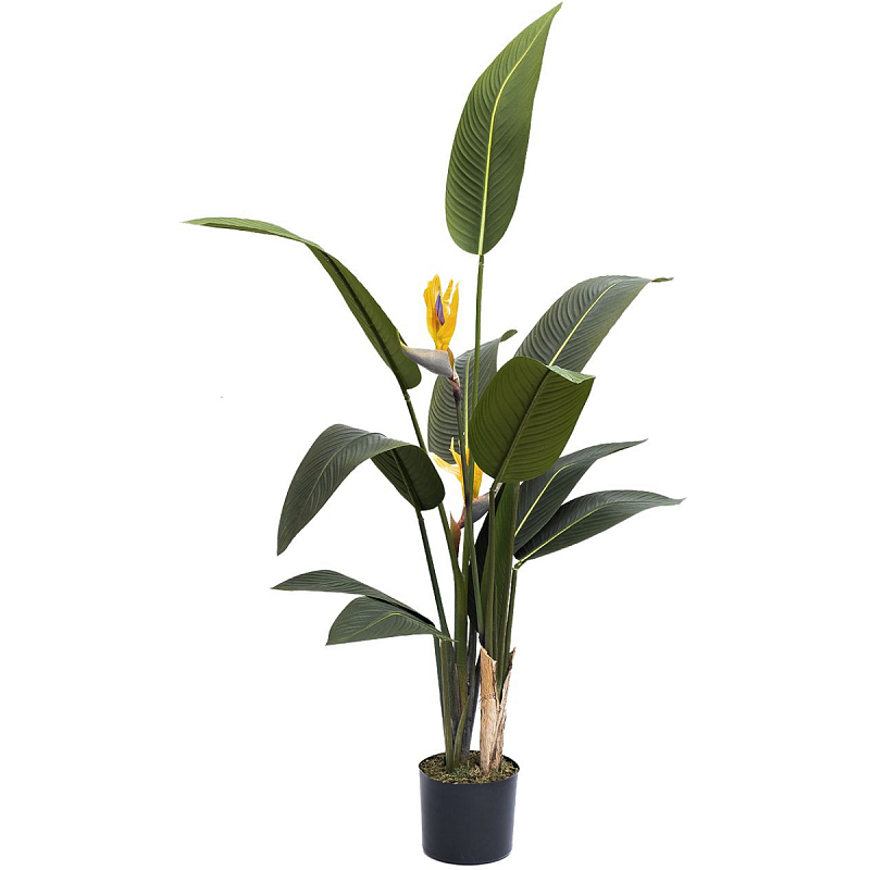 Искусственная Strelitzia Reginae Зеленый Искусственная Strelitzia Reginae Зеленый в Челябинске | Loft Concept