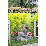 Кашпо The self-confident swan варинант исполнения - 8 | Loft Concept в Челябинске