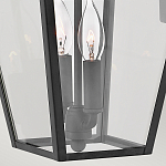 Настенный фонарь черного цвета с прозрачным стеклянным плафоном трапециевидной формы Hinkley варинант исполнения - 4 | Loft Concept в Челябинске